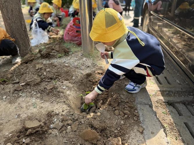 劳动播种希望 青春点亮繁花——平谷区迎宾花园社区花卉种植活动纪实